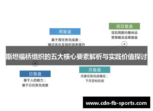 斯坦福桥组织的五大核心要素解析与实践价值探讨