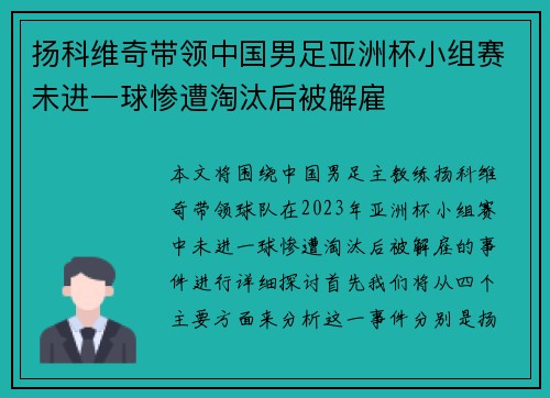 扬科维奇带领中国男足亚洲杯小组赛未进一球惨遭淘汰后被解雇